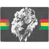 Horizontal Banner -  Lion of Judah Surface Pro 8 Skin